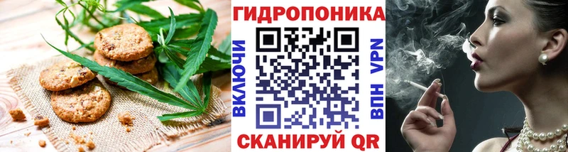 Cannafood конопля  купить  цена  маркетплейс официальный сайт  Котлас 